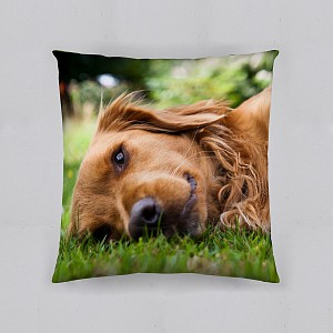 Povlak na polštářek Jezevčík FOTOTISK 40x40