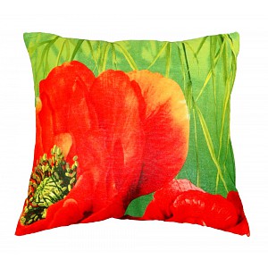 Bavlněný povlak CARMEN 40x40