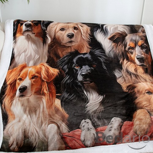 Deka beránek 150x200 - Superior - Psi