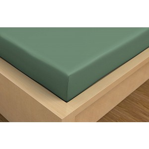 Prostěradlo bavlněné napínací 180x200 Zelené