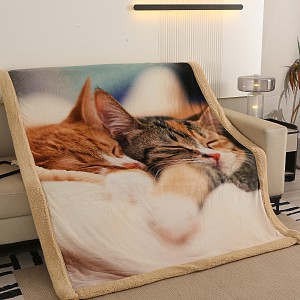 Deka beránek 150x200 - Superior - Koťata