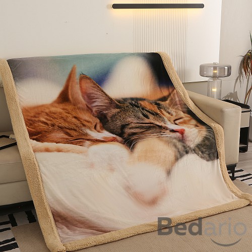 Deka beránek 150x200 - Superior - Koťata