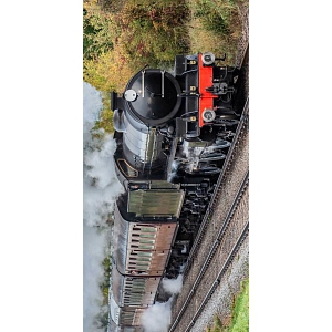 Osuška 70x140 - Parní vlak