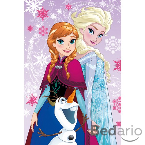 Dětská fleecová deka 100x150 Frozen magic