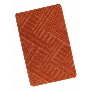 Koupelnová předložka 60x100cm linie terra