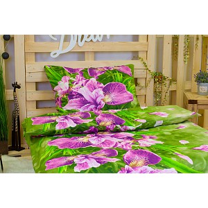 Bavlněné povlečení Anastazia 140x220+70x90