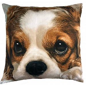 3D povlak 45x45 - Mazlíček