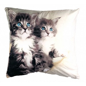 3D povlak 45x45 - Koťata