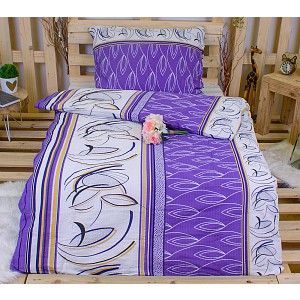 Krepové povlečení ECONOMY 140x200+70x90 Fialová variace