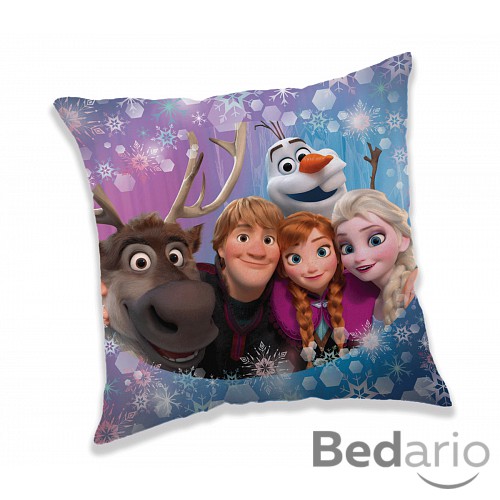 Dekorační polštářek 40x40 cm - Frozen family