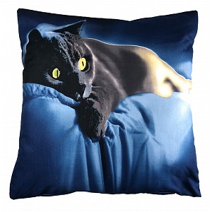 3D povlak 45x45 - British cat