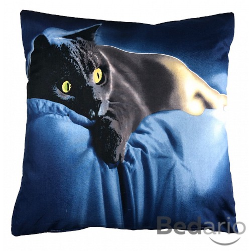 3D povlak 45x45 - British cat