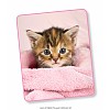 Deka / Pléd HIP DeLuxe 130x160 Kitten
