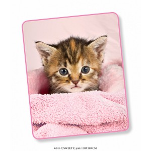 Deka / Pléd HIP DeLuxe 130x160 Kitten