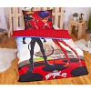 Bavlněné povlečení 140x200+70x90 Ladybug & Cat Noir