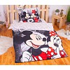 Povlečení z mikrovlákna 140x200+70x90 Mickey & Minnie v NY II