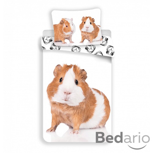 Bavlněné povlečení 140x200+70x90 Morče