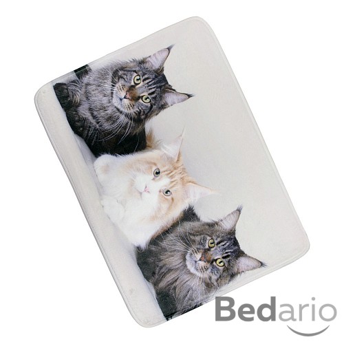 3D Podlahová předložka 50x70 Tři kočky