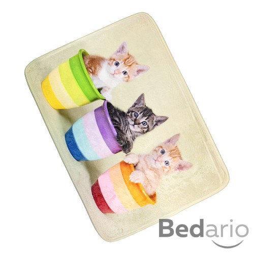 3D Podlahová předložka 50x70 Tři koťata