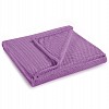 Mikroflanelová deka ŽAKÁR Premium 150x200 - Lila