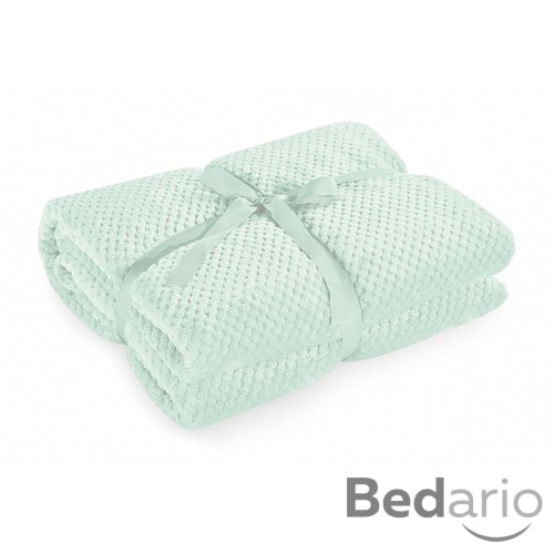 Mikroflanelová deka ŽAKÁR Premium 150x200 - Pepermint