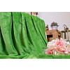 Mikroflanelová deka Premium 150x200 - Zelená
