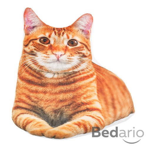Tvarovaný polštářek ANIMALS - Fat cat