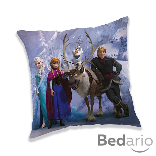 Dekorační polštářek 40x40 cm - Frozen