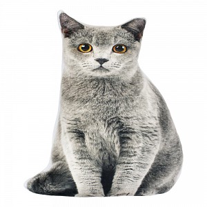 Tvarovaný polštářek ANIMALS - Kočka