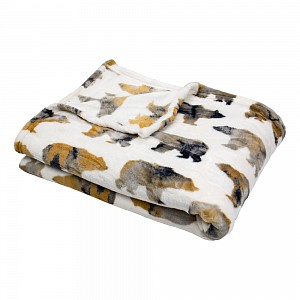 Mikroflanelová deka premium 150x200 - Pictures - Medvěd