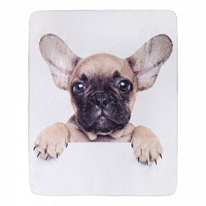 Dětská deka 120x150 Bulldog