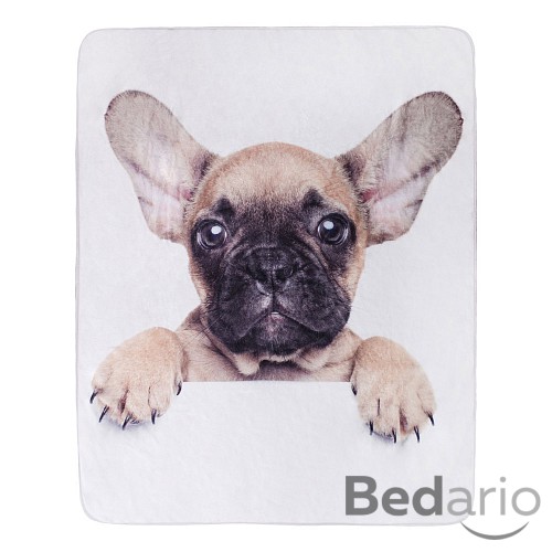 Dětská deka 120x150 Bulldog