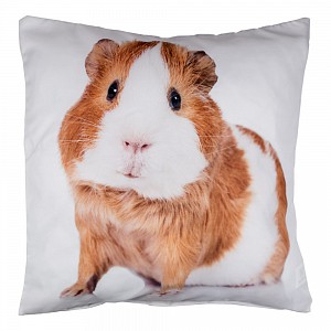 3D povlak 45x45 - Morče