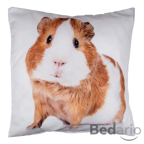 3D povlak 45x45 - Morče