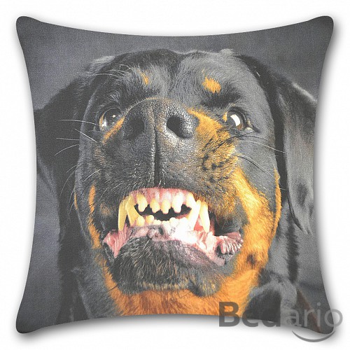 3D povlak 45x45 - Rotvajler