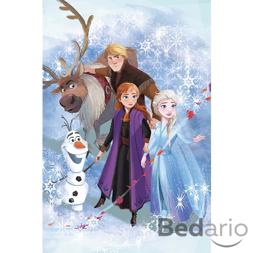 Fleecová deka 100x150 Frozen 2