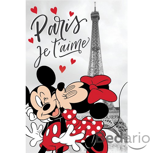 Fleecová deka 100x150 Mickey a Minnie v Paříži - Eiffel Tower