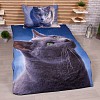 3D povlečení 140x200+70x90 Dark cat