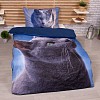 3D povlečení 140x200+70x90 Dark cat