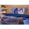 3D povlečení 140x200+70x90 Dark cat