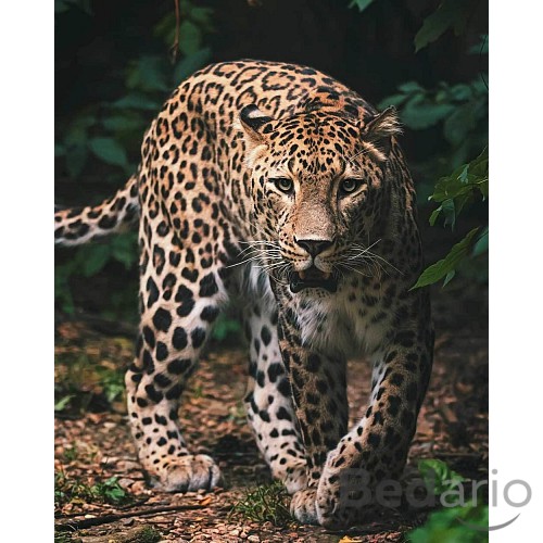 Dětská deka 120x150 – Leopard Green