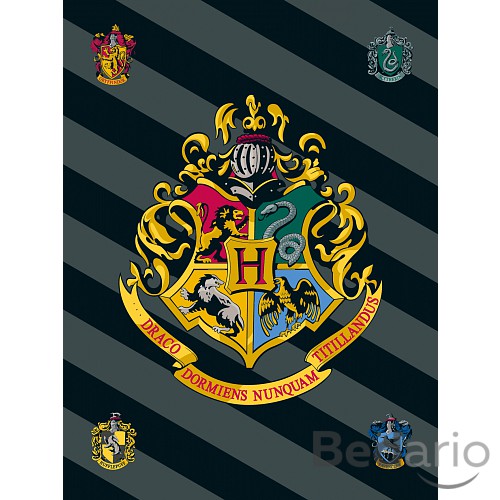 Fleecová deka 100x150 - Harry Potter